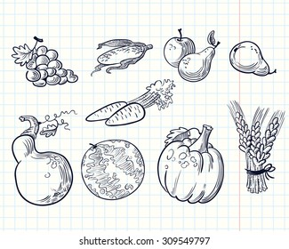 Fruits and vegetables set. Collection for Thanksgiving cards, posters, wrapping. Autumn crop. Vector illustration with pumpkin, carrots, grape, wheat, watermelon, corn, pear, apple