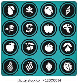fruits and vegetables set . fruits icons.