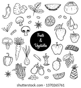Fruits and vegetables sketch or hand drawn style illustration