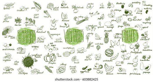 Fruits, vegetables and superfoods collection. Hand drawn set of healthy and organic food. Multiset of vegetable and fruits sketches for menu design.