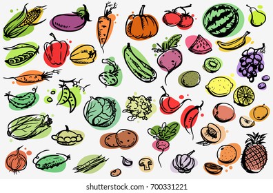 Fruits and vegetables vector collection 