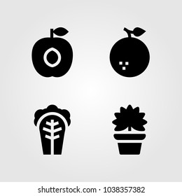 Fruits Vegetables vector icon set. cabbage, orange, palm and apricot