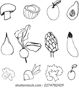 fruits and vegetables. Vegetables and fruits vector. Vegetables line art. Radish, broccoli, apple, pear line art vector.