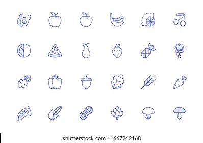 Fruits and Vegetables. Vector symbols, line icons set for mobile and desktop screens design. Set includes apple, watermelon, berries, citrus, mushrooms, carrot and more illustrations.