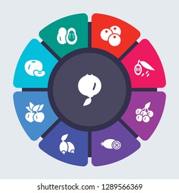 fruits and vegetables vector template for infographics. Business concept with 9 options, steps, parts, segments. Banner infographic cycling diagram, round chart, Ugli fruit, Soursop, Nance icons