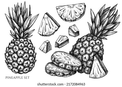 Colección de ilustraciones vectoriales vintage de frutas. Piña blanca y negra.