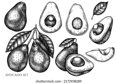 Obstvintage Vektorgrafik Sammlung. Schwarz-Weiß-Avocado.