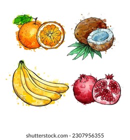 El vector de acuarela de frutas establece la ilustración de esbozo dibujada a mano sobre fondo blanco.