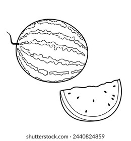 Fruits. Watermelon. Outline illustration, design element.	