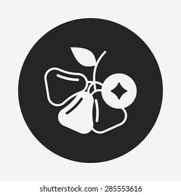 fruits wax-apple icon