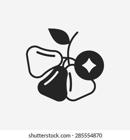 fruits wax-apple icon