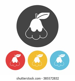 fruits wax-apple icon