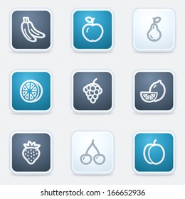 Fruits web icon, square buttons