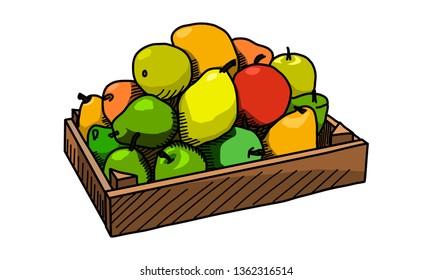 Fruits in the wooden box. Vector
