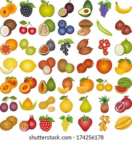 Fruits of the world