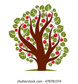 Fruity tree with ripe apples isolated on white. Organic and eco food idea vector image.