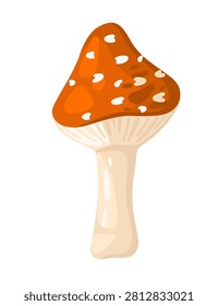 Fry Agaric. Autumn Woodland. Vector illustration.