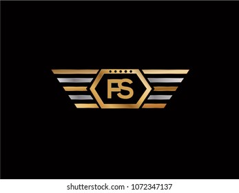FS initial box letter design