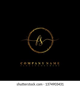 FS Initial luxury handwriting logo vector