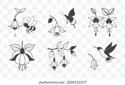 Fuchsia Flower Line Art Vector Set Elegant and Detailed Floral Illustration Collection