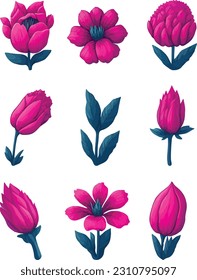 Fuchsia Flower Set, Watercolor Flower Vector Design Set