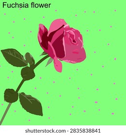Vector la flor fucsia: