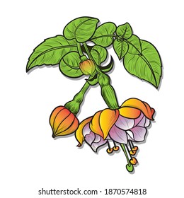 Fuchsia flowers and buds. Decorative composition. Vector drawing. Graphic arts. Wallpaper. Use printed materials, signs, posters, postcards, packaging.