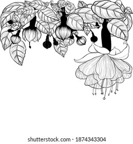 Fuchsia flowers and buds. Decorative composition. Vector drawing. Graphic arts. Wallpaper. Use printed materials, signs, posters, postcards, packaging.