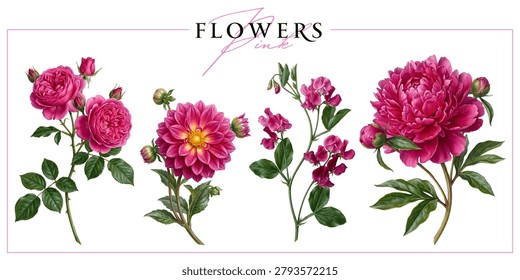 Flores jardín rosa fucsia
