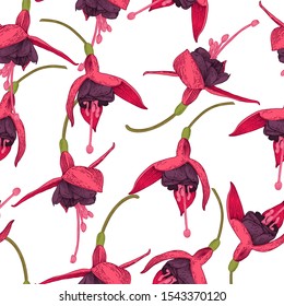 Fuchsia. Seamless floral pattern with tropical flowers. Template design for textiles, interior, clothes, wallpaper. Vector illustration.  Botanical art.  Engraving style
