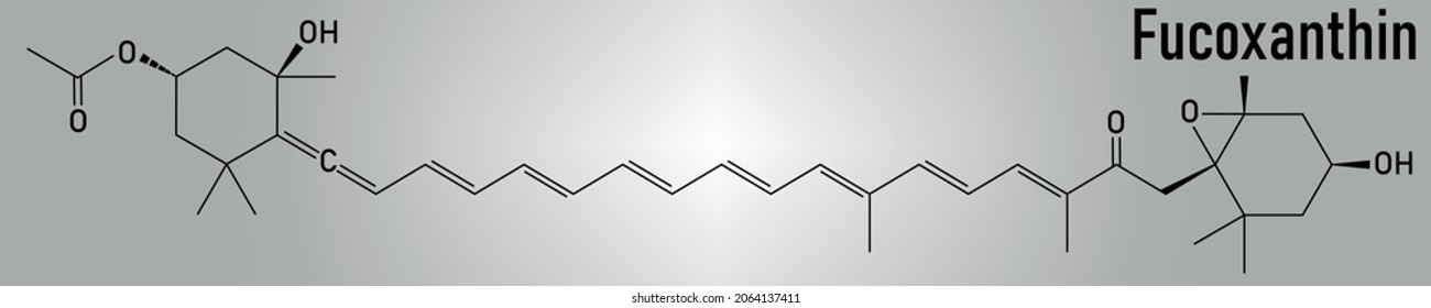 Fucoxanthin Brown Algae Pigment Molecule. Ingredient Of Some Dietary Supplements. Skeletal Formula.