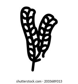 fucus vesiculosus seaweed line icon vector. fucus vesiculosus seaweed sign. isolated contour symbol black illustration