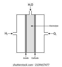 fuel cell diagram using H2 and O2 produce electricity