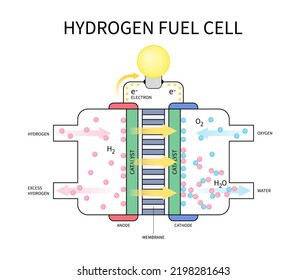 Fuel Cell Electric Vehicle Technology Lithium Ion With Zero Emissions Fossil Energy And Catalyst Separates The Polymer