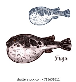 Fugu fish isolated sketch of japanese pufferfish. Sea animal, poisonous fugu fish with puffed stomach vector icon for japanese seafood cuisine, fish market and restaurant menu design