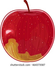 fuji apple