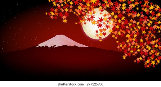 Fuji maple foliage