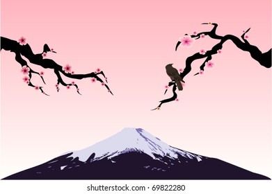 fuji and sakura