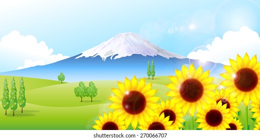 Fuji sunflower background