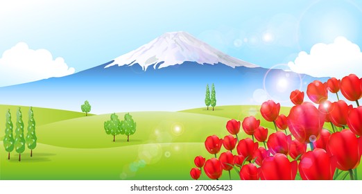 Fuji tulip background