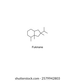 Fukinane skeletal structure.Sesquiterpene compound schematic illustration. Simple diagram, chemical structure.