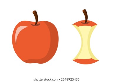 Full apple and apple core isolated on white background. Vector stock