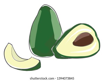 A full avocado cut into piece for consumption vector color drawing or illustration