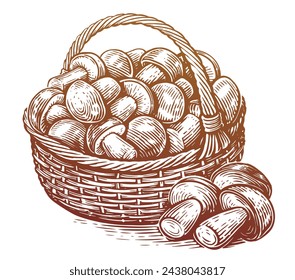 Voller Korb mit frisch gepflückten Steinpilzen. Bio-Lebensmittel. Hand gezeichnete Skizze Vektor-Illustration