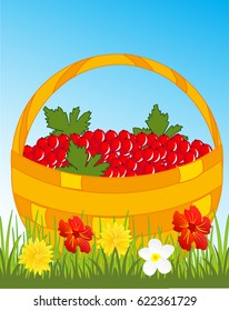 Full basket of the red berry on glade with flower