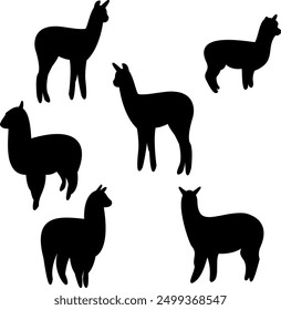 Full black alpaca vector, 6 alpaca units