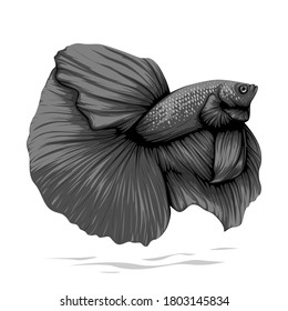 Full Black Half Moon Betta Fish Vector isolated on white background