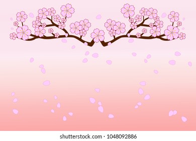 Full bloom cherry blossoms and blowing/flying petals on gradient old-rose colored background. Beautiful pink Sakura flowers on brown branches. Use as greeting or invitation card. Vector illustration.