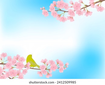 Full bloom cherry blossoms and white-eye frame background