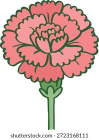 Vollblütige rosafarbene Nelkenblume Draufsicht. Botanische Vektorgrafik in Nahaufnahme.